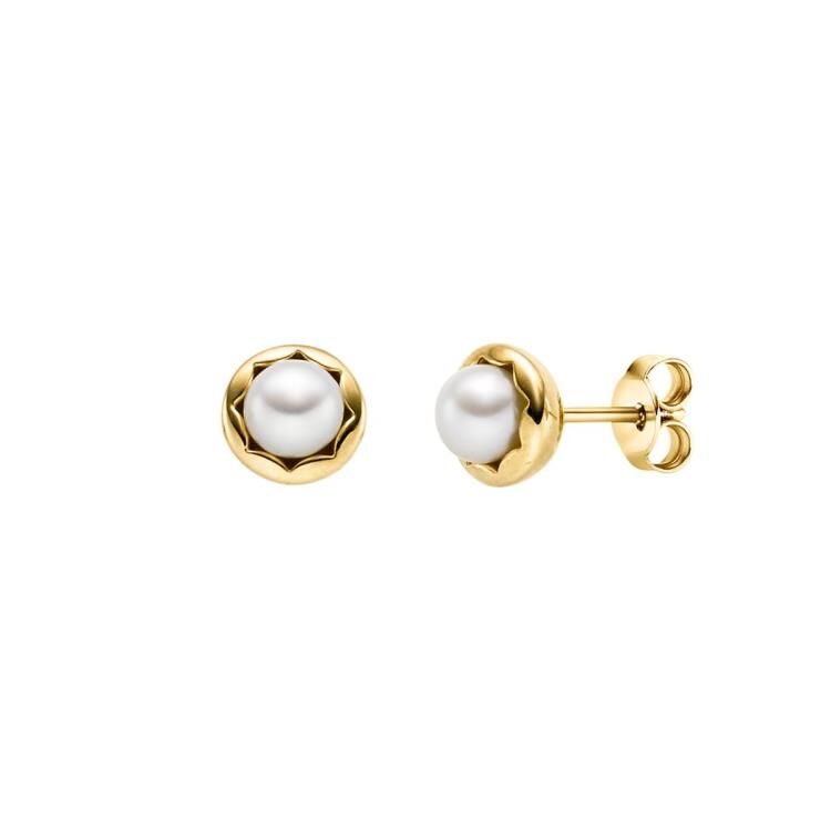 Ohrschmuck mit 2 Süsswasserperlen